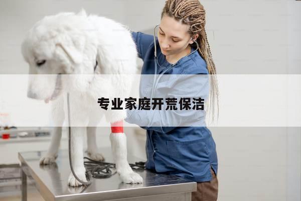 专业家庭开荒保洁