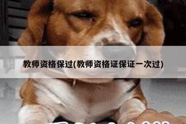 教师资格保过(教师资格证保证一次过)