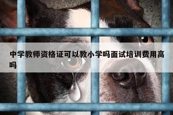 中学教师资格证可以教小学吗面试培训费用高吗