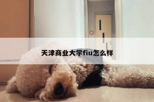 天津商业大学fiu怎么样