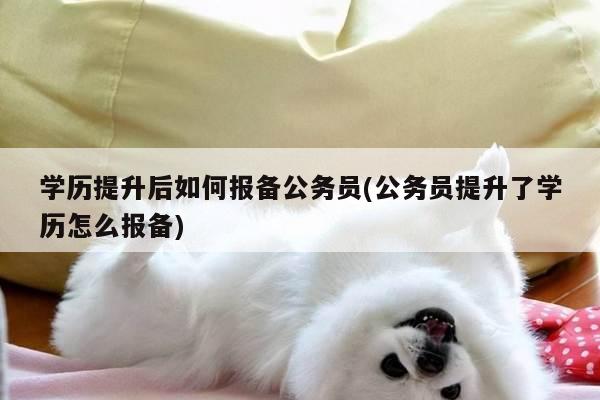 学历提升后如何报备公务员(公务员提升了学历怎么报备)