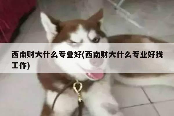 西南财大什么专业好(西南财大什么专业好找工作)