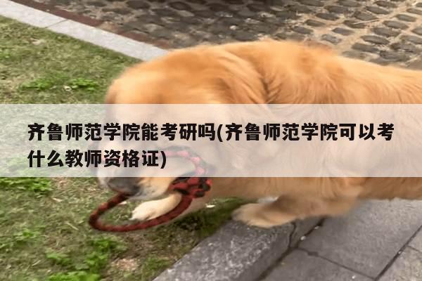 齐鲁师范学院能考研吗(齐鲁师范学院可以考什么教师资格证)