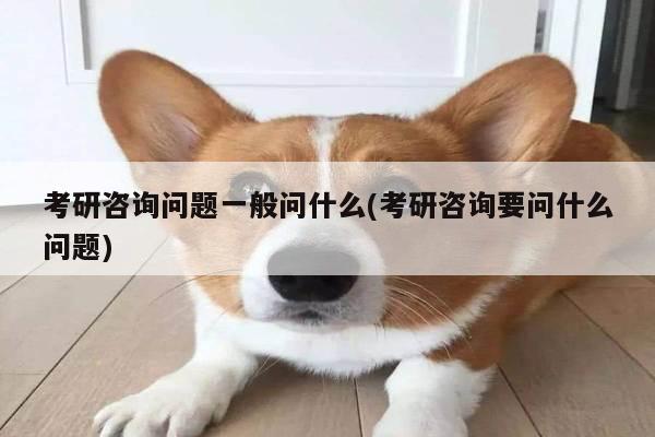 考研咨询问题一般问什么(考研咨询要问什么问题)