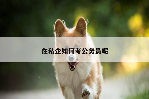 在私企如何考公务员呢