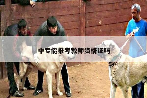 中专能报考教师资格证吗