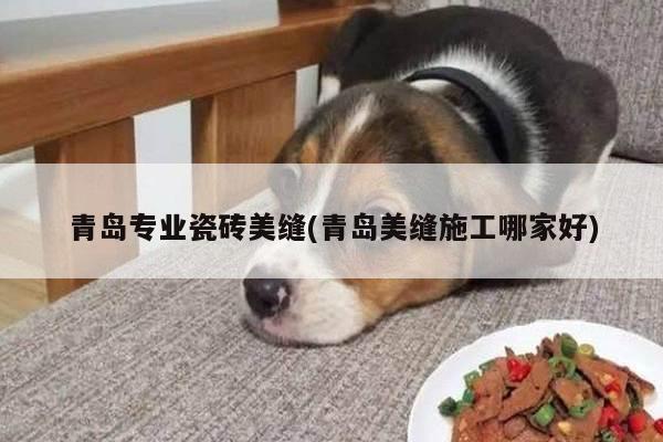青岛专业瓷砖美缝(青岛美缝施工哪家好)