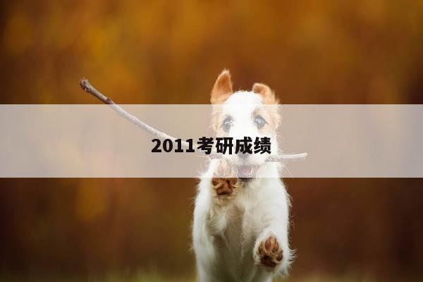 2011考研成绩