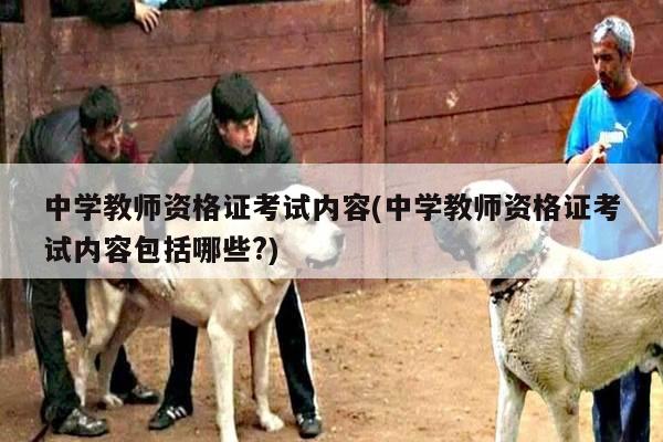 中学教师资格证考试内容(中学教师资格证考试内容包括哪些?)