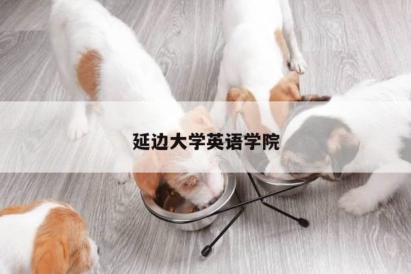 延边大学英语学院