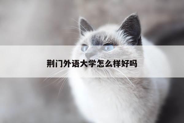 荆门外语大学怎么样好吗