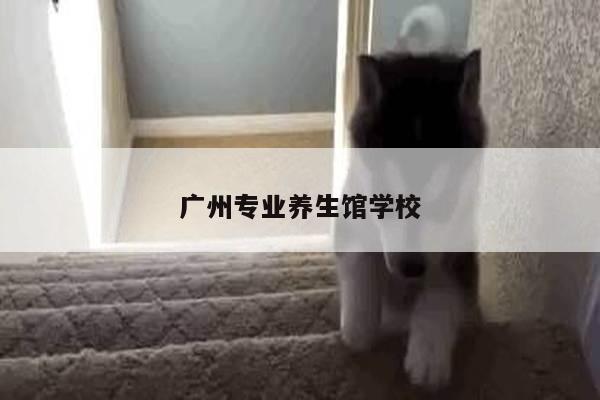 广州专业养生馆学校