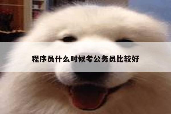 程序员什么时候考公务员比较好