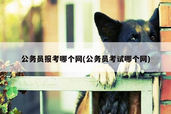 公务员报考哪个网(公务员考试哪个网)
