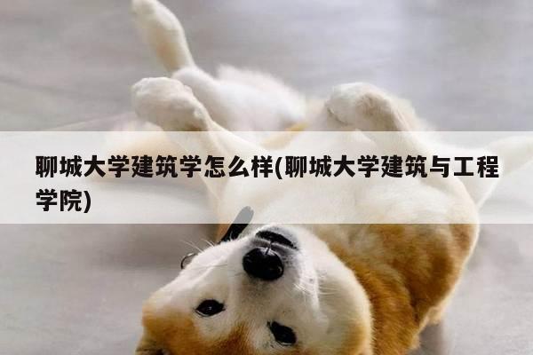 聊城大学建筑学怎么样(聊城大学建筑与工程学院)