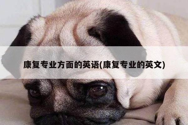 康复专业方面的英语(康复专业的英文)