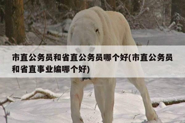 市直公务员和省直公务员哪个好(市直公务员和省直事业编哪个好)