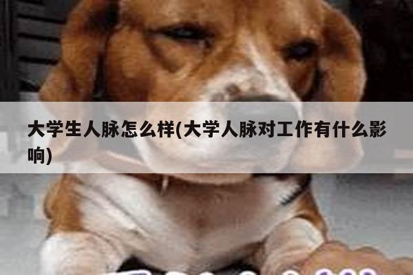 大学生人脉怎么样(大学人脉对工作有什么影响)