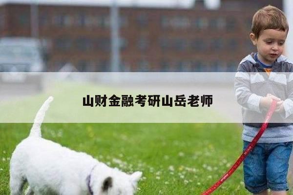 山财金融考研山岳老师