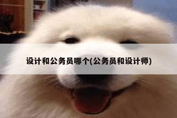 设计和公务员哪个(公务员和设计师)