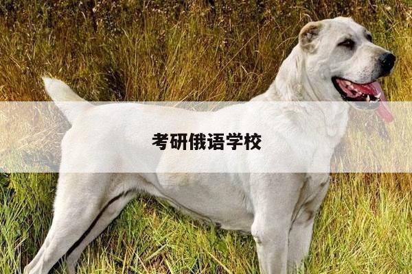 考研俄语学校