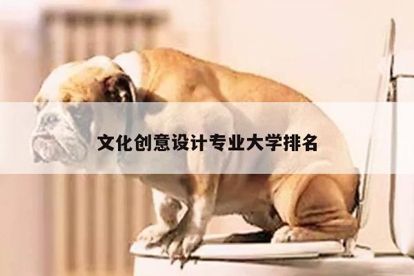 文化创意设计专业大学排名