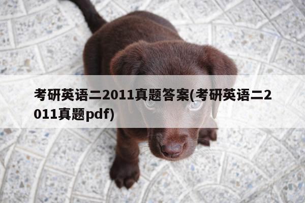 考研英语二2011真题答案(考研英语二2011真题pdf)