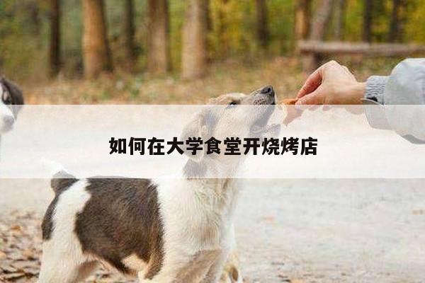 如何在大学食堂开烧烤店