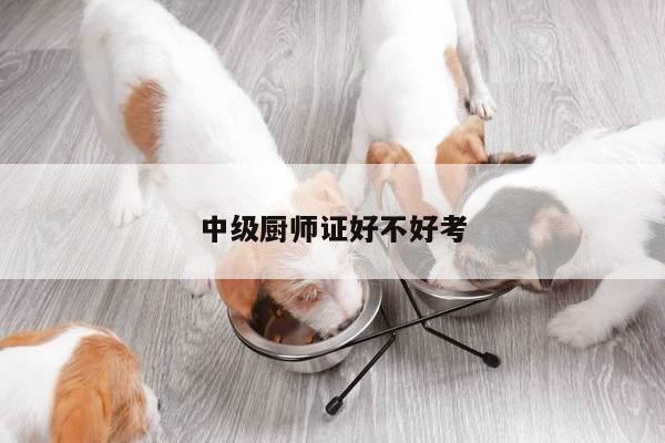 中级厨师证好不好考