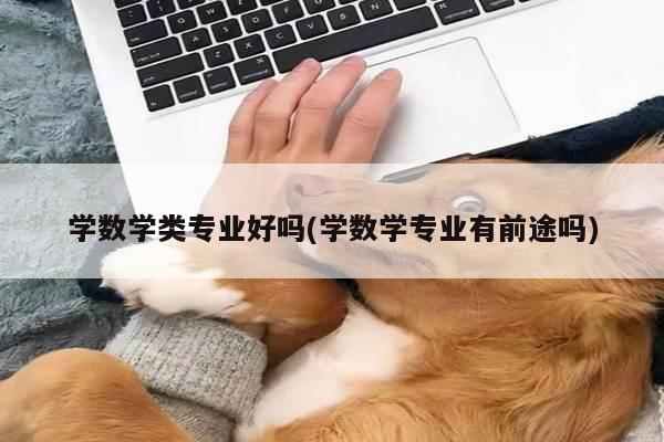 学数学类专业好吗(学数学专业有前途吗)