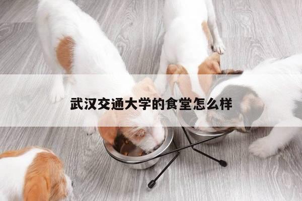 武汉交通大学的食堂怎么样