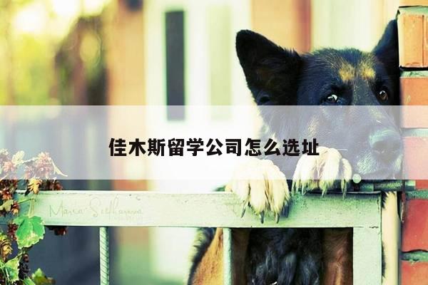 佳木斯留学公司怎么选址