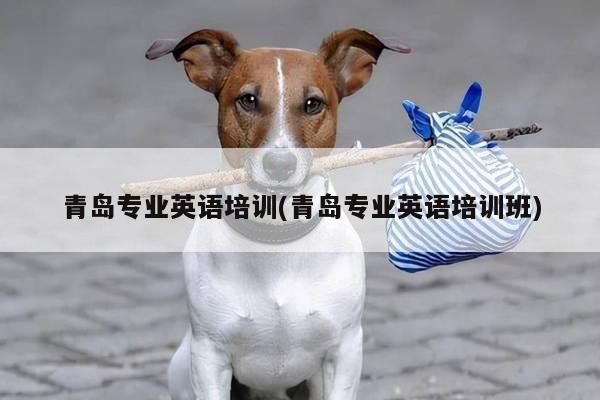 青岛专业英语培训(青岛专业英语培训班)