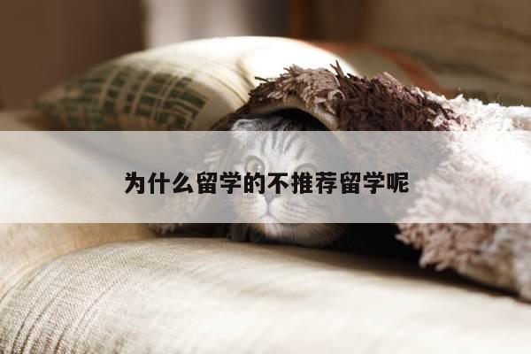 为什么留学的不推荐留学呢