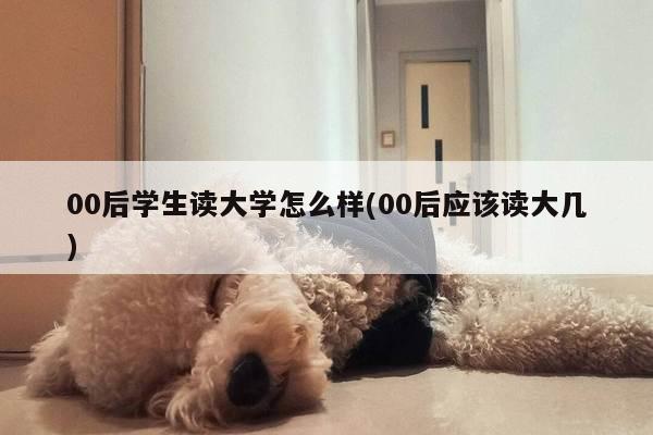 00后学生读大学怎么样(00后应该读大几)
