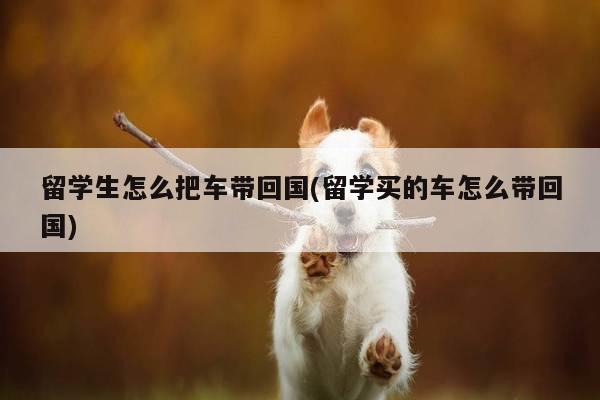 留学生怎么把车带回国(留学买的车怎么带回国)