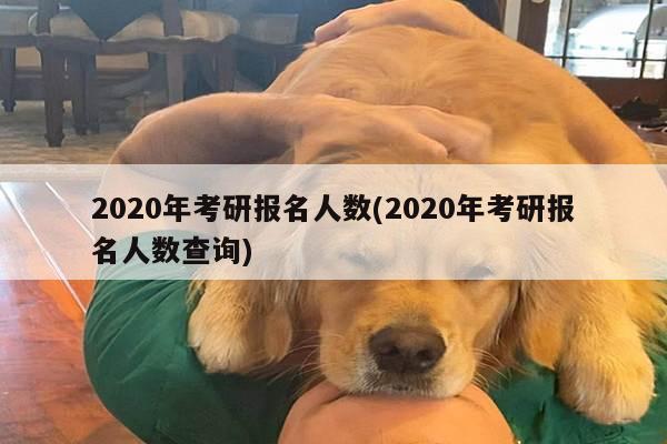 2020年考研报名人数(2020年考研报名人数查询)