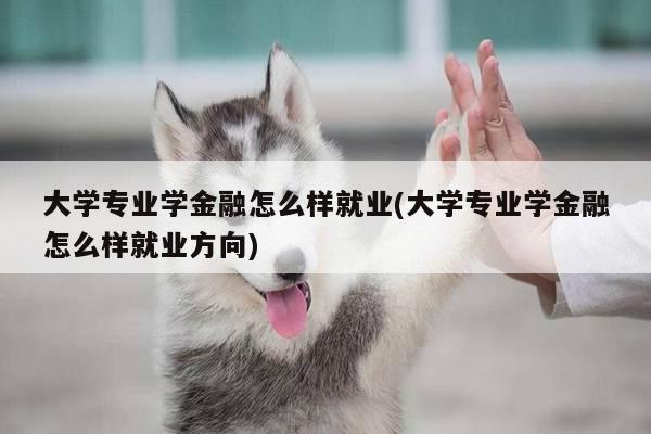 大学专业学金融怎么样就业(大学专业学金融怎么样就业方向)