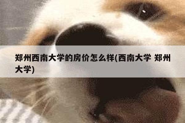 郑州西南大学的房价怎么样(西南大学 郑州大学)