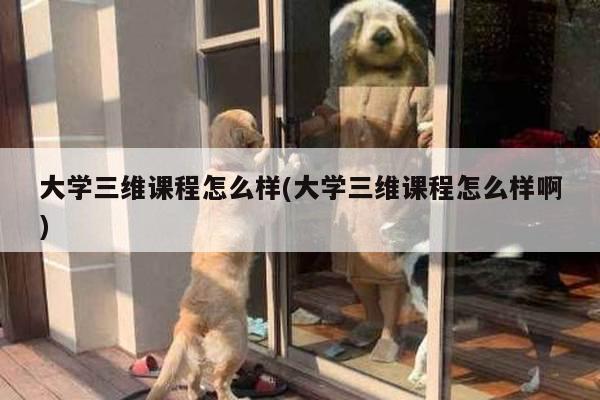 大学三维课程怎么样(大学三维课程怎么样啊)