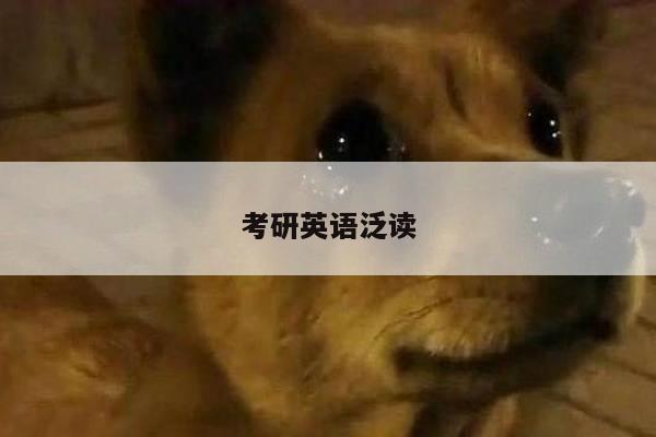 考研英语泛读