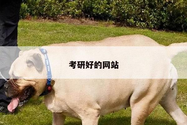 考研好的网站