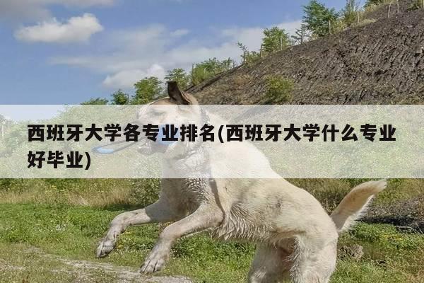 西班牙大学各专业排名(西班牙大学什么专业好毕业)