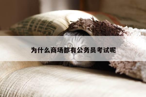 为什么商场都有公务员考试呢