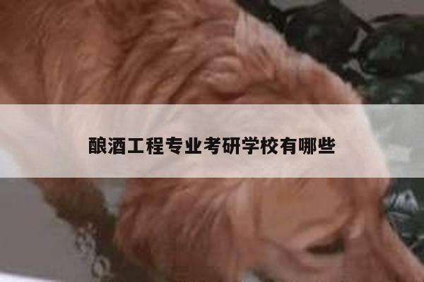 酿酒工程专业考研学校有哪些