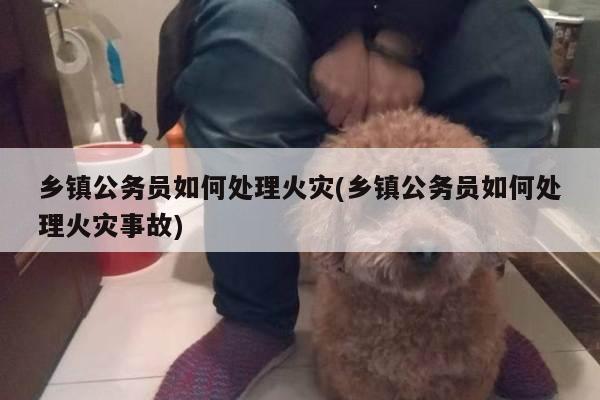 乡镇公务员如何处理火灾(乡镇公务员如何处理火灾事故)