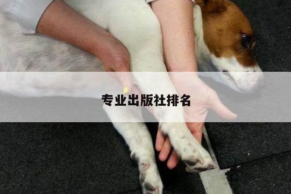 专业出版社排名