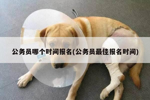 公务员哪个时间报名(公务员最佳报名时间)