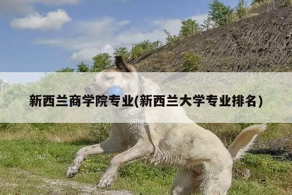 新西兰商学院专业(新西兰大学专业排名)