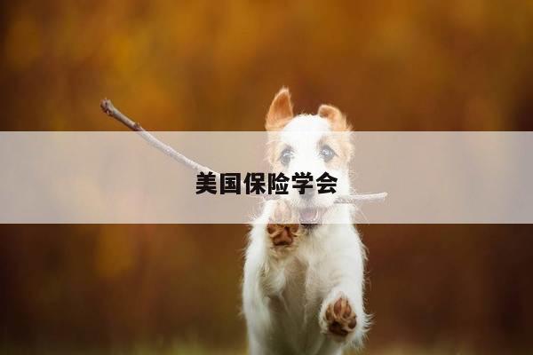 美国保险学会